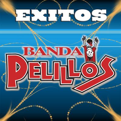 Exitos's cover