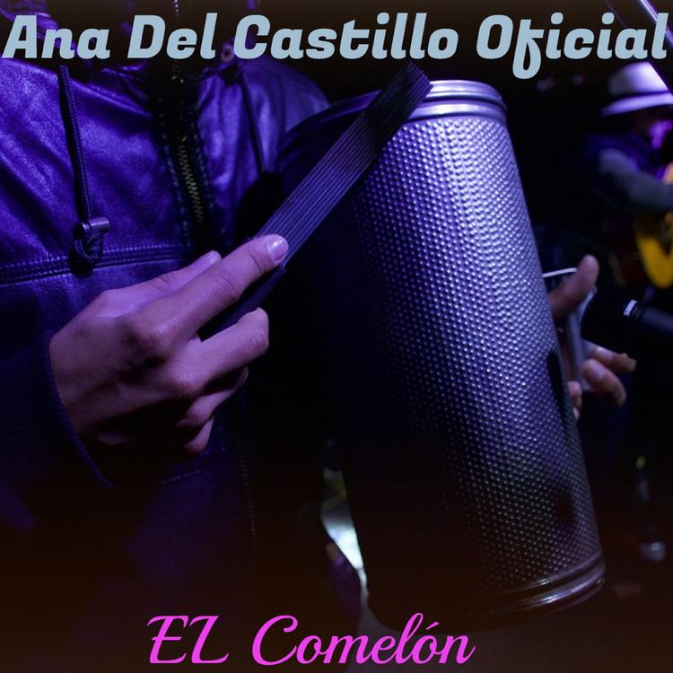 Ana Del Castillo Oficial's avatar image