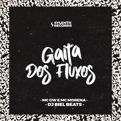 Gaita dos Fluxos's cover