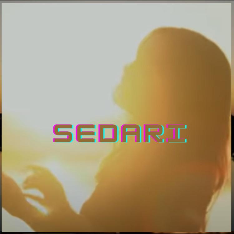 Sedari's avatar image