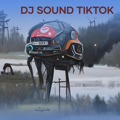 Dj Sound Tiktok (Acoustic)'s cover