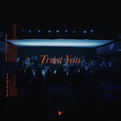 Trust You [Live]'s cover