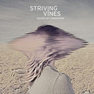 Striving Vines's cover