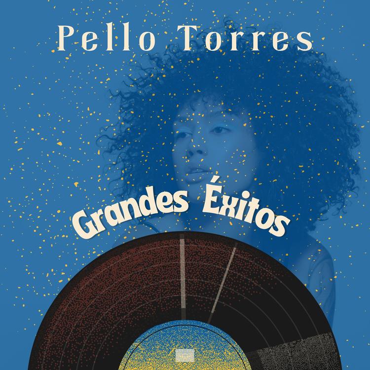 Pello Torres's avatar image
