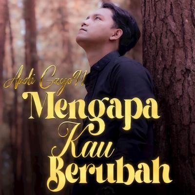 Mengapa Kau Berubah's cover