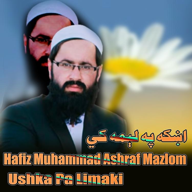 Hafiz Muhammad Ashraf Mazlom's avatar image