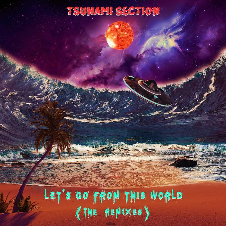 Tsunami Section's avatar image