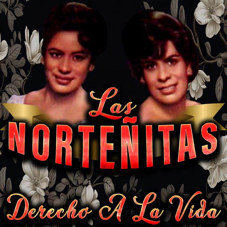 Las Norteñitas's avatar image