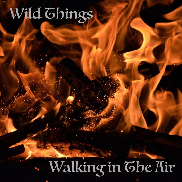Walking In The Air's avatar image