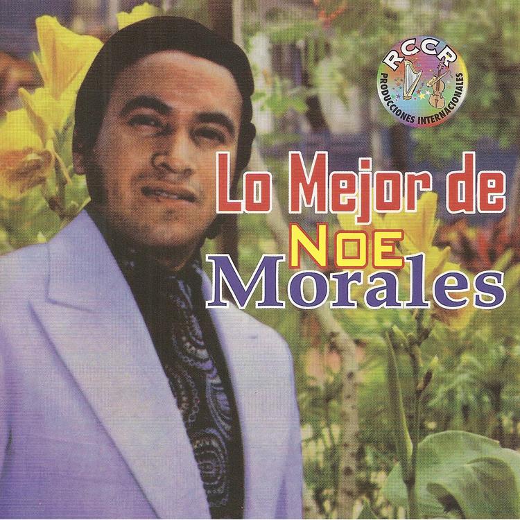 Noé Morales's avatar image