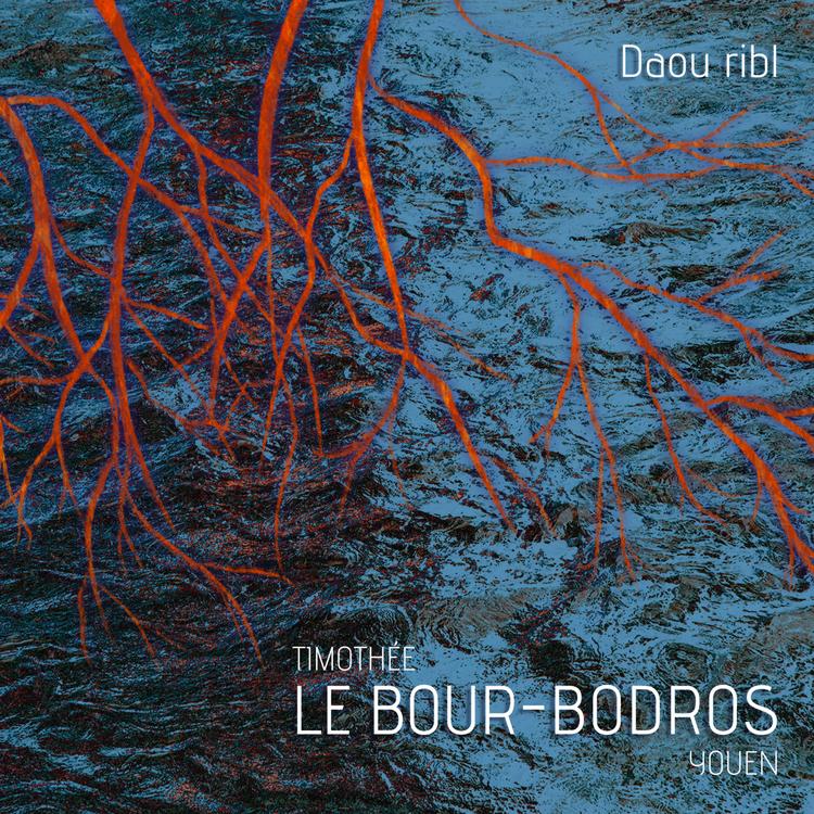Le Bour-Bodros's avatar image