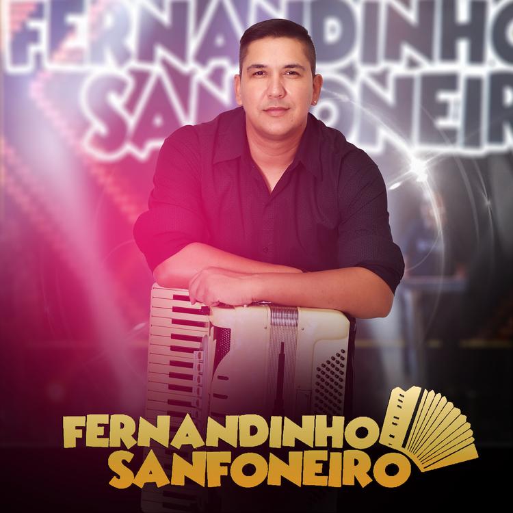 FERNANDINHO SANFONEIRO's avatar image