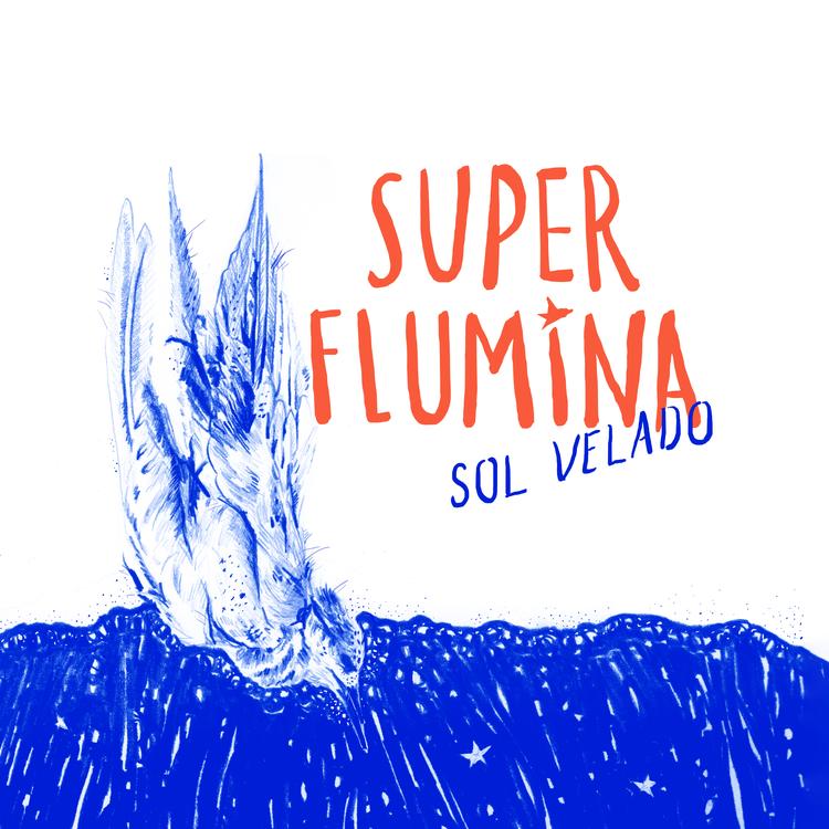 Super Flumina's avatar image