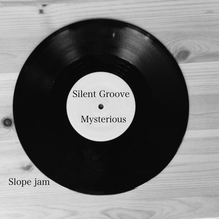silent groove's avatar image