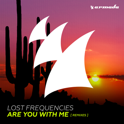 Are You With Me (DIMARO Extended Remix) By Lost Frequencies's cover