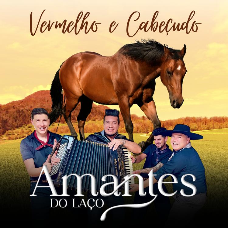 Amantes do Laço's avatar image