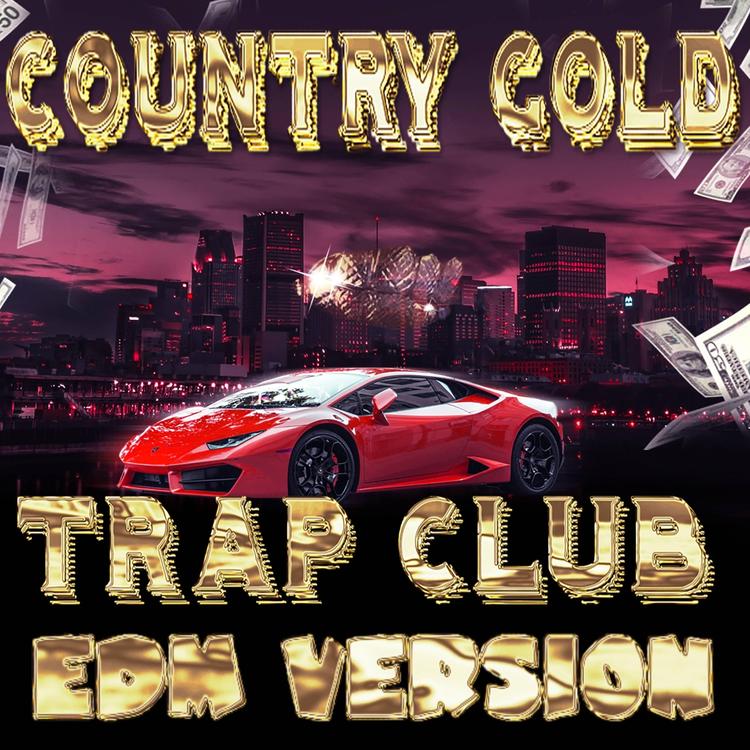 Country Gold's avatar image