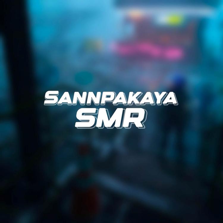 SANNPAKAYA's avatar image