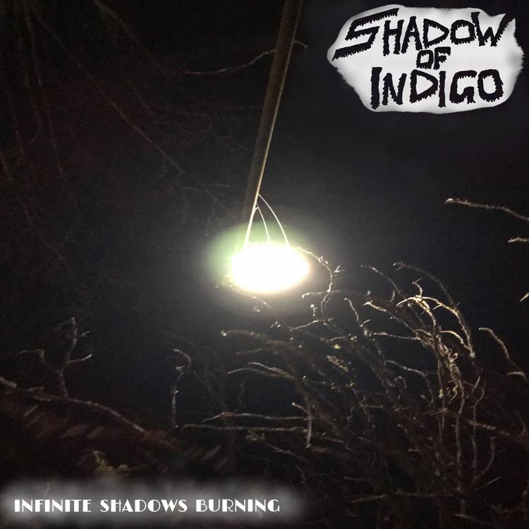 Shadow of Indigo's avatar image