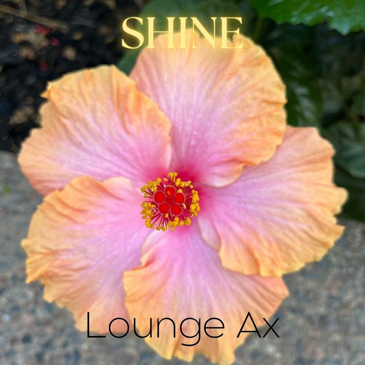 Lounge Ax's avatar image