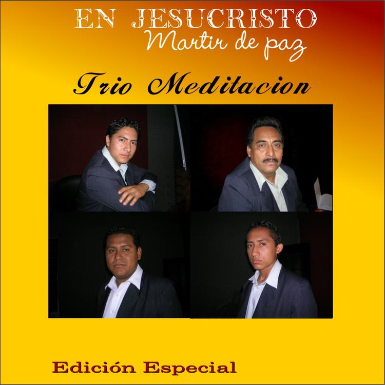 Trio Meditacion's avatar image