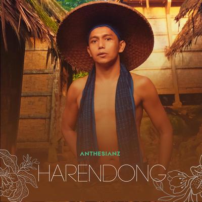 Harendong's cover