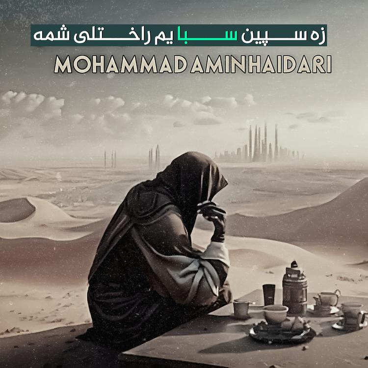 Mohammad Amin Haidari's avatar image