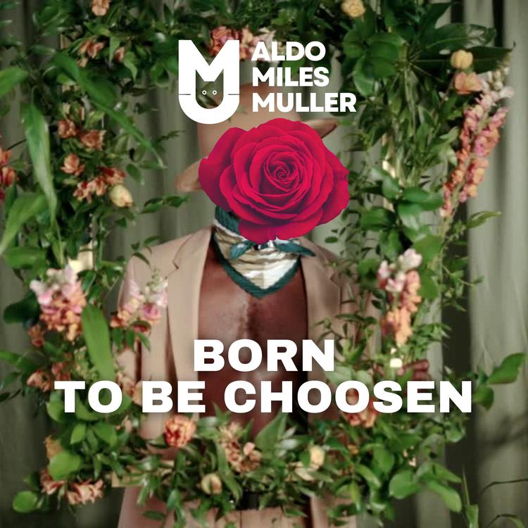 Aldo Miles Muller's avatar image