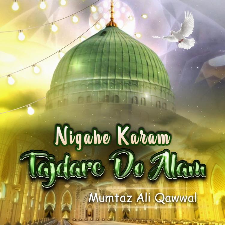 Mumtaz Ali Qawwal's avatar image