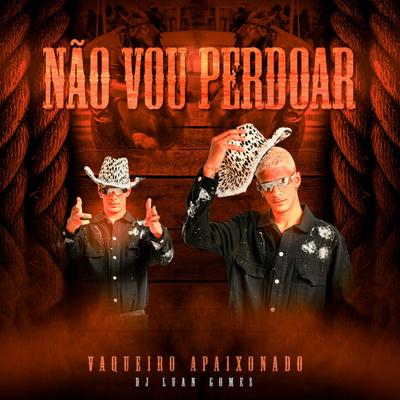 Não Vou Perdoar (feat. Dj Luan Gomes)'s cover