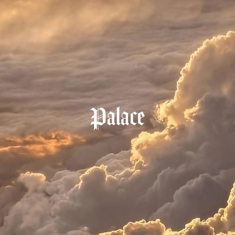 Palace 1001's avatar image