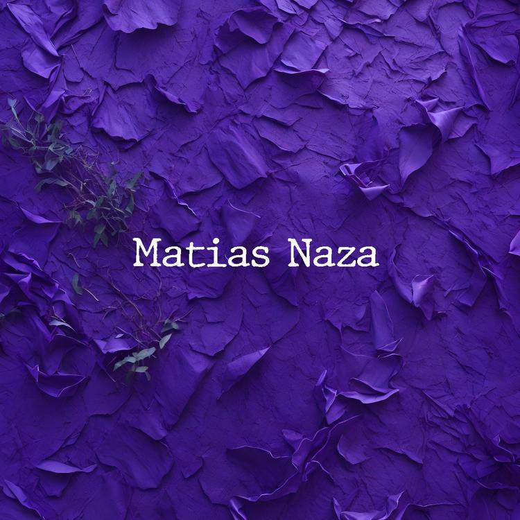 Matias Naza's avatar image