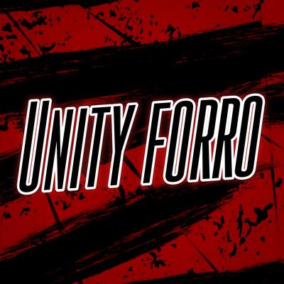 Unity Forro By Dance Comercial Music's cover