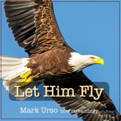 Let Him Fly's cover