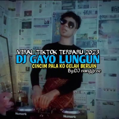 DJ GAYO LUNGUN CINCIM PALA KO GELAH BERIJIN's cover