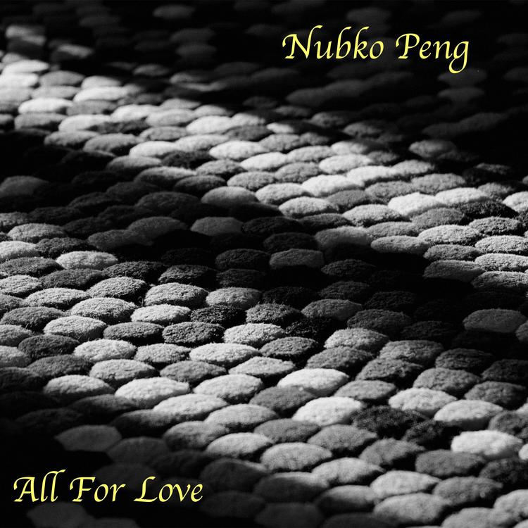 Nubko Peng's avatar image