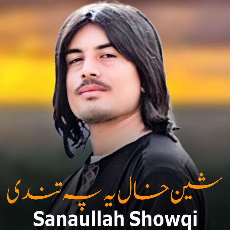 Sanaullah Showqi's avatar image