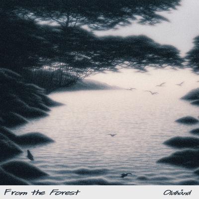 From the Forest By Oldhånd's cover