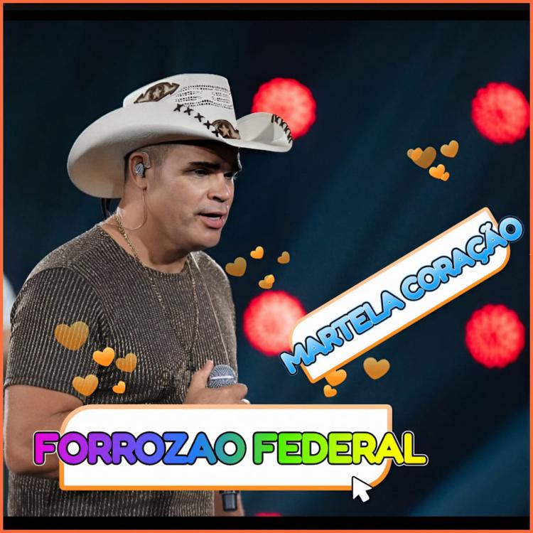 Forrozão federal's avatar image