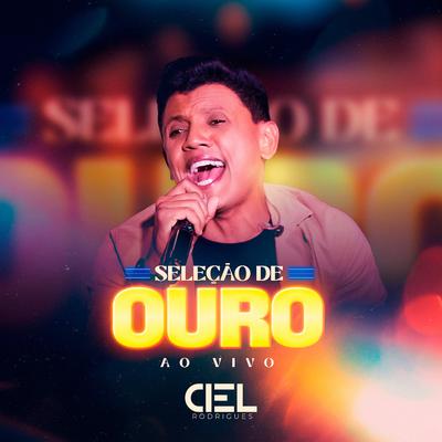 Inesquecível, a Dor Desse Amor, Olha o Que o Amor Me Faz, a Lenda (Ao Vivo) By Ciel Rodrigues, Pedro Lucas's cover