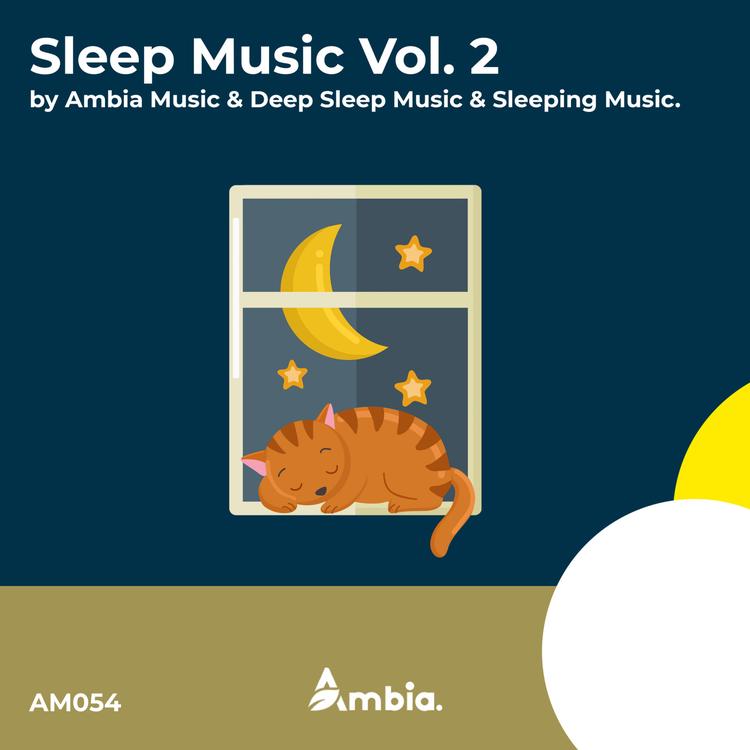 Ambia Music's avatar image