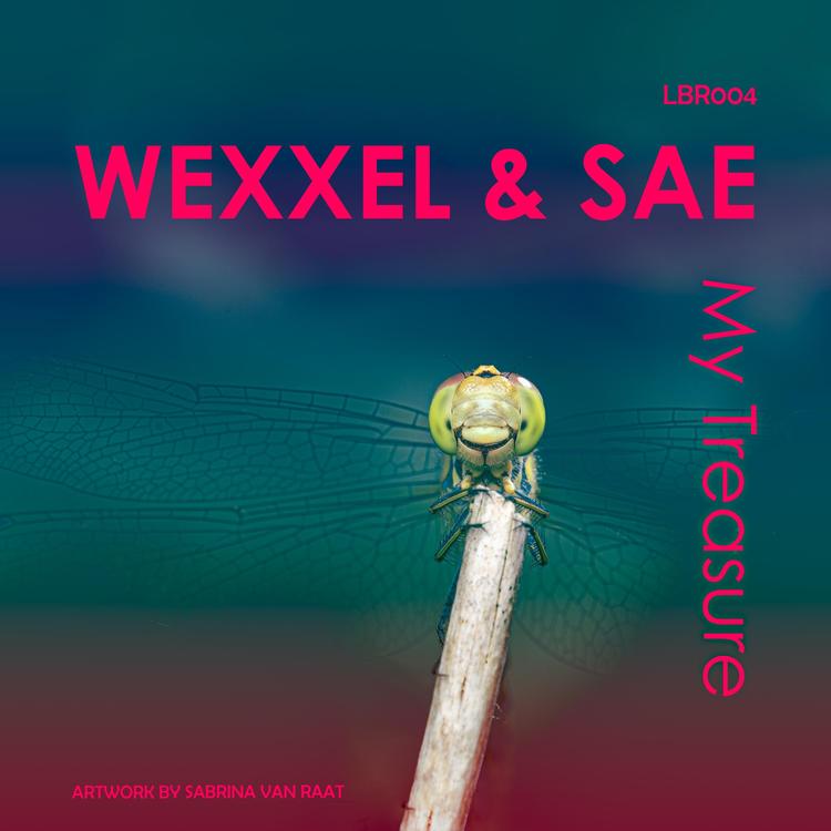 Wexxel & Sae's avatar image