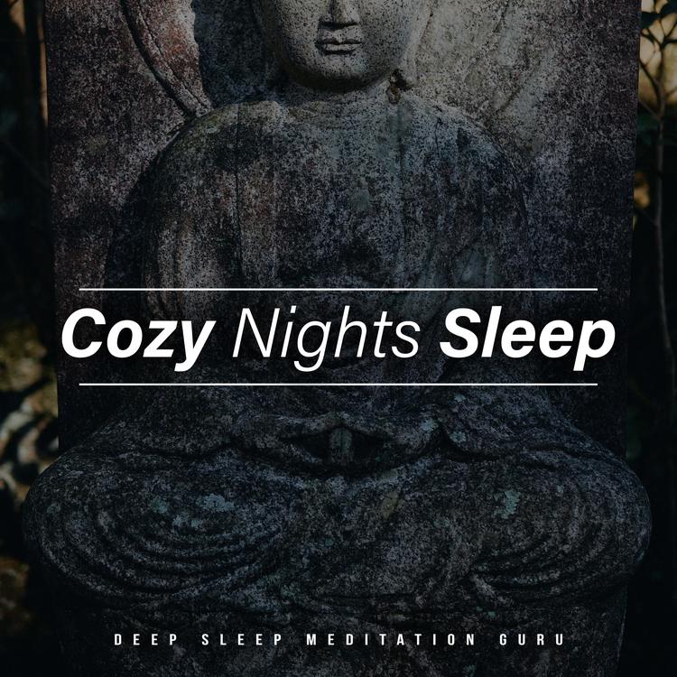 Deep Sleep Meditation Guru's avatar image