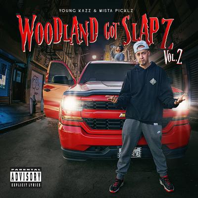 Woodland Got Slapz vol.2's cover