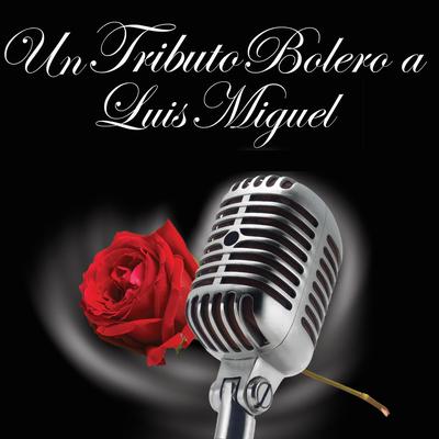 No Sé Tú By Latin Tribute Players's cover