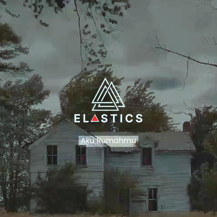 Elastics's avatar image