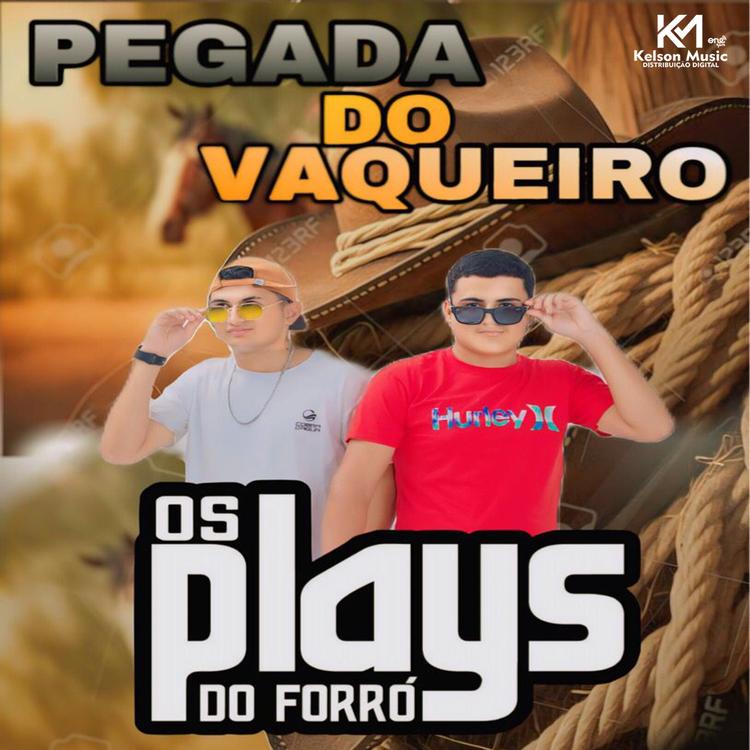 Os Plays do Forró's avatar image