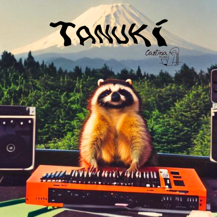 TANUKI's avatar image