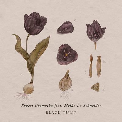 Black Tulip By Robert Gromotka, Meike-Lu Schneider's cover