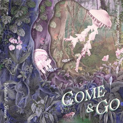 Come & Go's cover